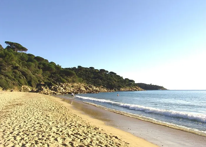 Vic's Land Holidays Grimaud